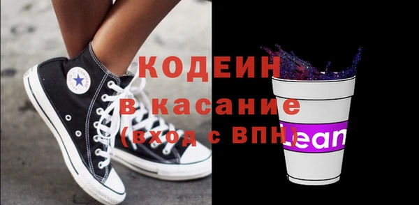 шишки Гусь-Хрустальный