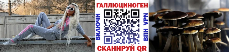 Псилоцибиновые грибы Psilocybe  Казань 