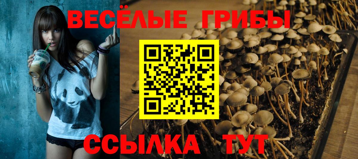 Казань  Галлюциногенные грибы Psilocybine cubensis  Псилоцибиновые грибы Psilocybine cubensis  Вход с VPN 