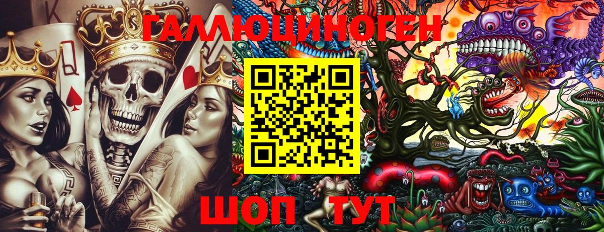 Галлюциногенные грибы Psilocybe Казань